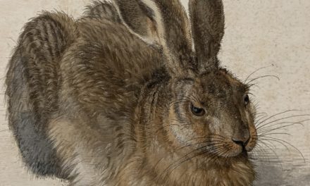 Dürer at the Albertina: the other exceptional exhibition of an old master in Europe
