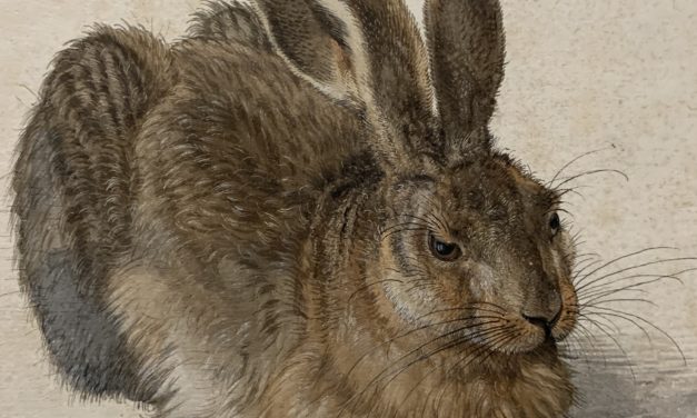 Dürer at the Albertina: the other exceptional exhibition of an old master in Europe