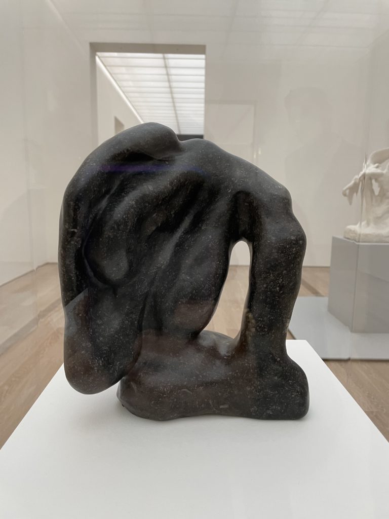 Rodin/Arp at the Fondation Beyeler: while awaiting to see one of Europe ...